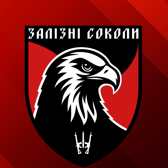 Залізні соколи | 67 ОМБр