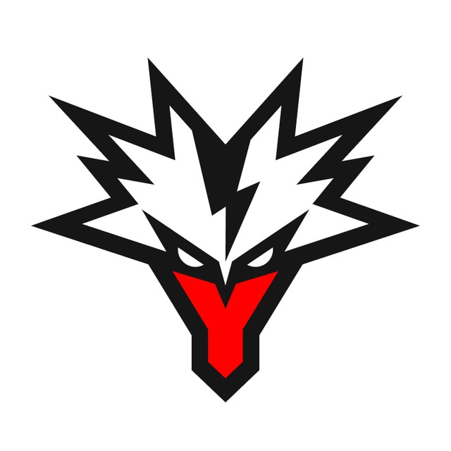 Team Yandex MLBB